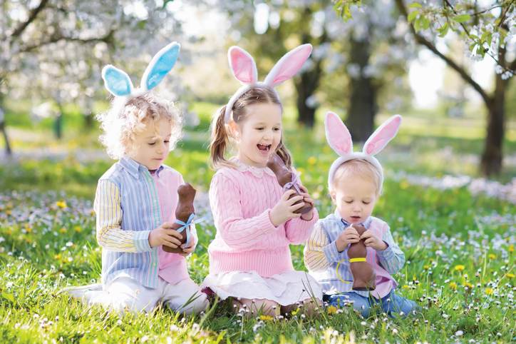 Garden Easter egg hunt. Kids eat bunny chocolate.